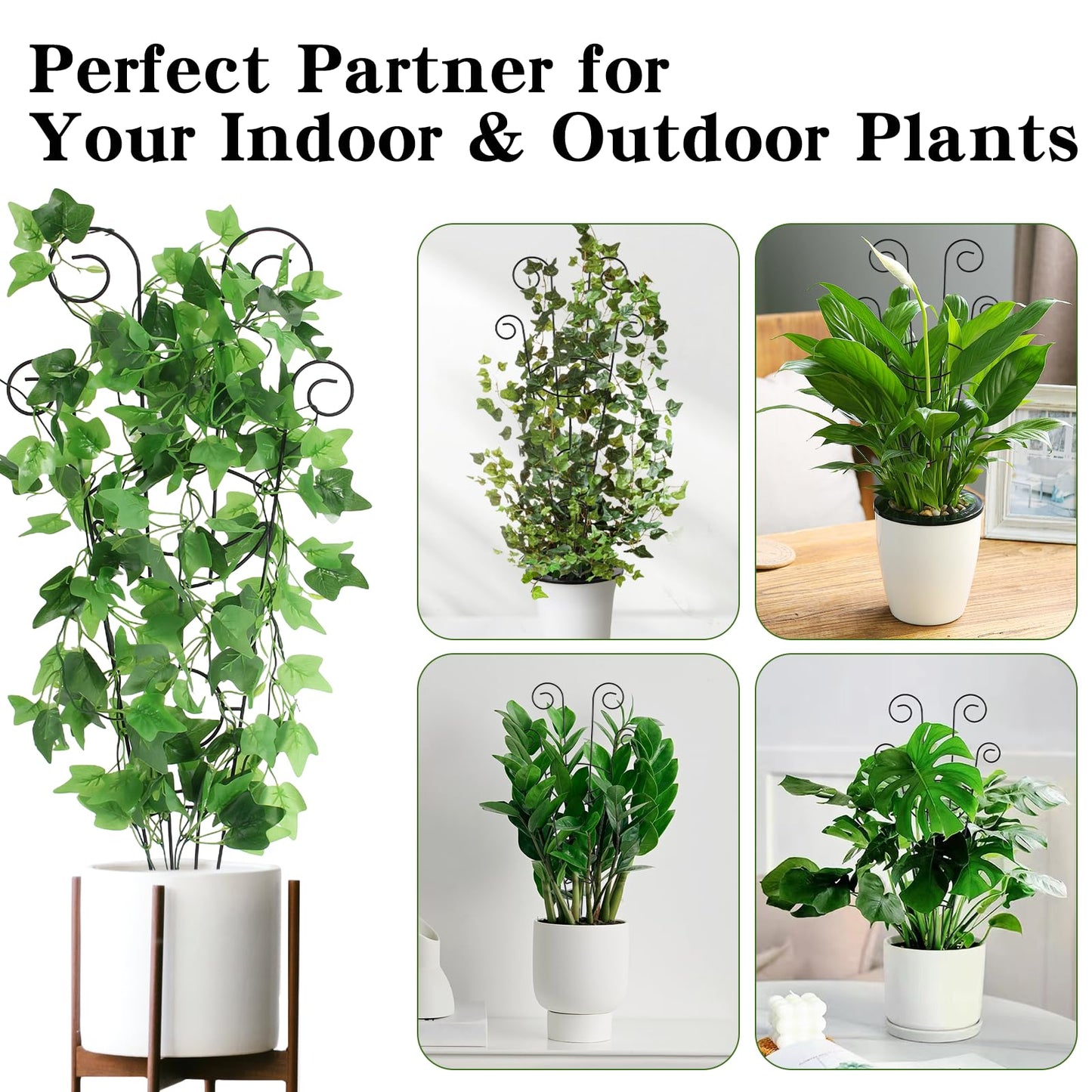ZOUTOG Trellis for Climbing Plants Indoor 4 Pack 30 Inch,Rustproof Metal Garden Trellis for Potted Plants,Sturdy Houseplant Support Indoor Outdoor for Ivy Pothos Monstera Hoya Flower Vine (Black Moon)