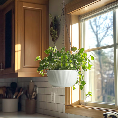 T4U Hanging Planter Self Watering 8 Inch, 2 Pack White Indoor Outdoor Hanging Plant pots, Hanging Flower Pot with Drainage Hole & Plug & Chain with 3 Hooks for Garden Home Decor