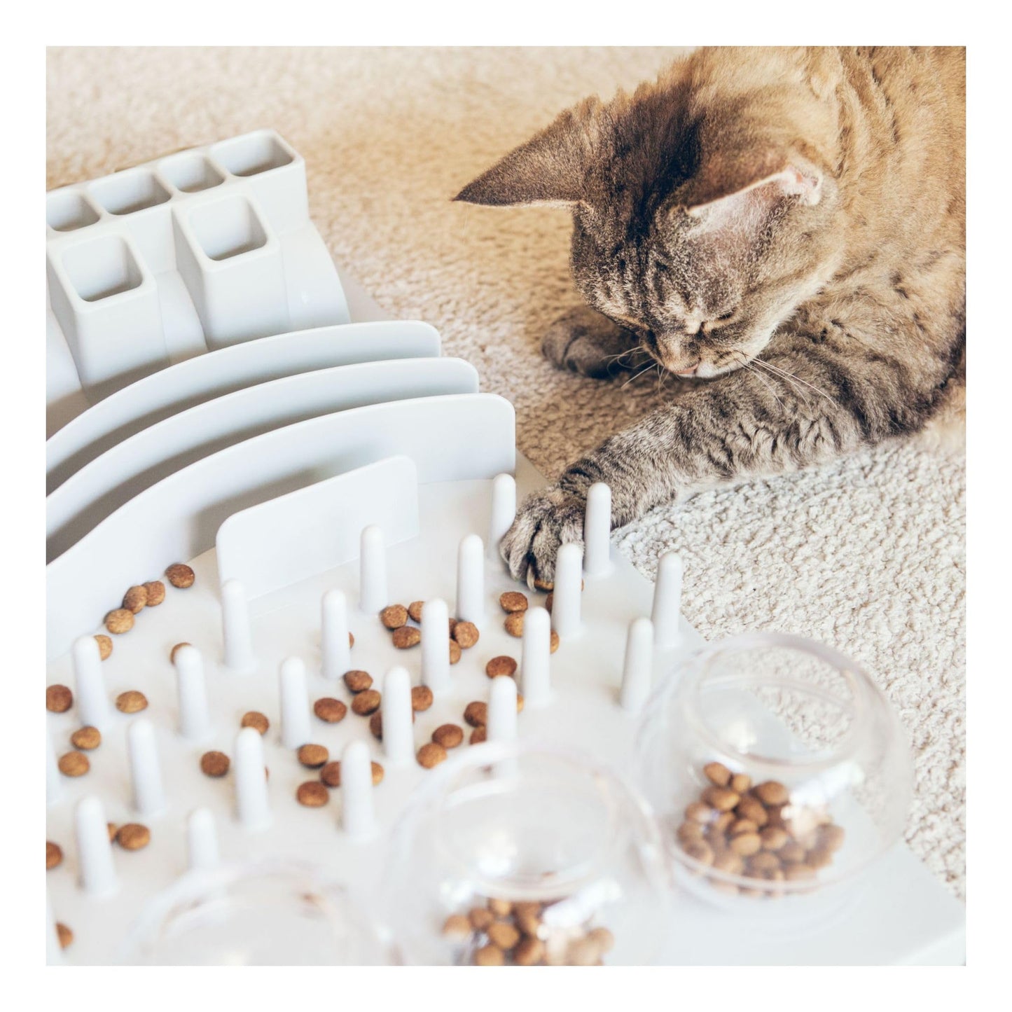 TRIXIE Fun Board Strategy Game for Cats, Puzzle Toy, Treat Dispenser, Interactive Play, Mental Stimulation