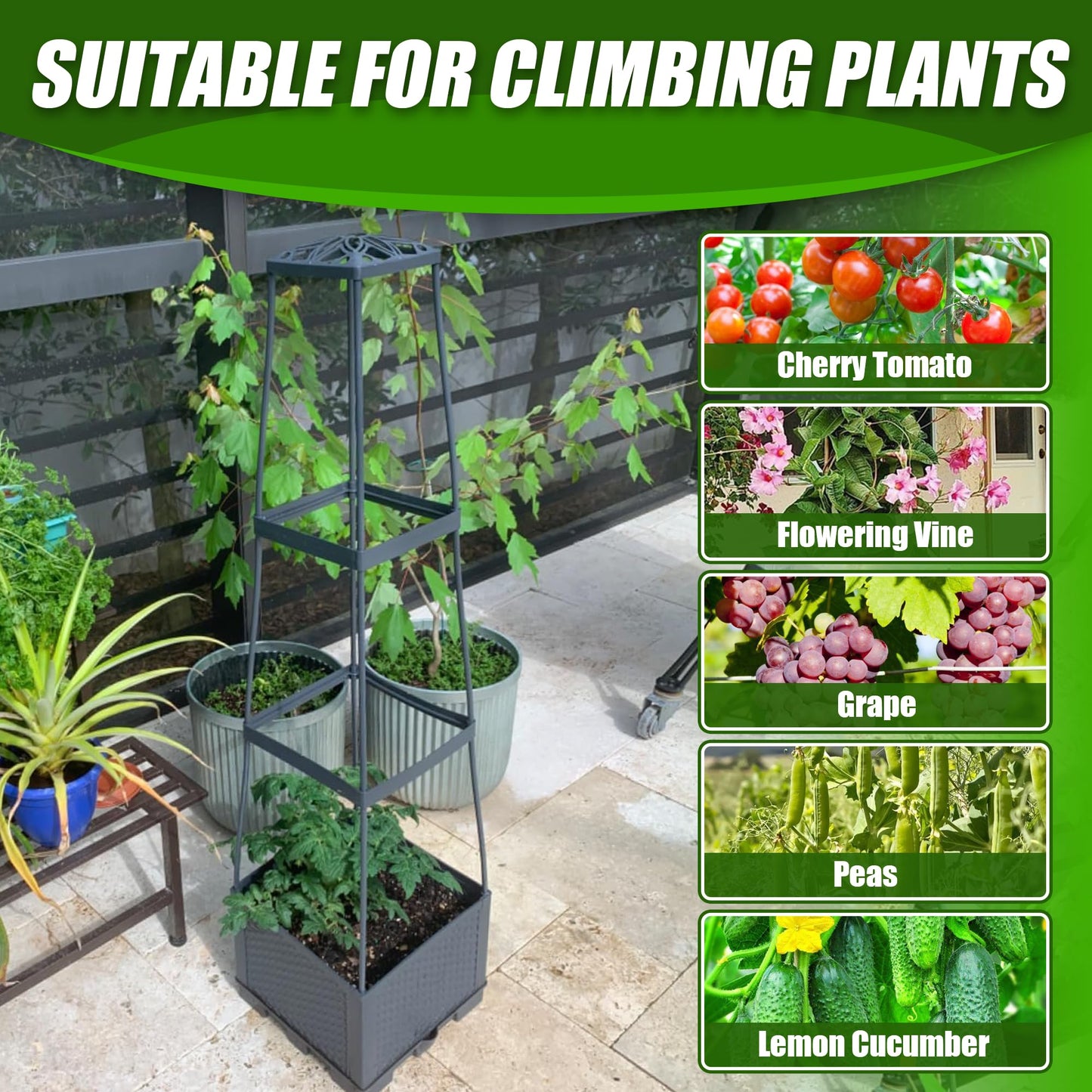 Biotolot 2 Packs Raised Garden Bed Tomato Planter Box with Trellis,44.8" Self-Watering Tomato Cage with Trapezoidal Trellis for Climbing Plants Flowers Vegetables Vine in Patio Garden Indoor Outdoor