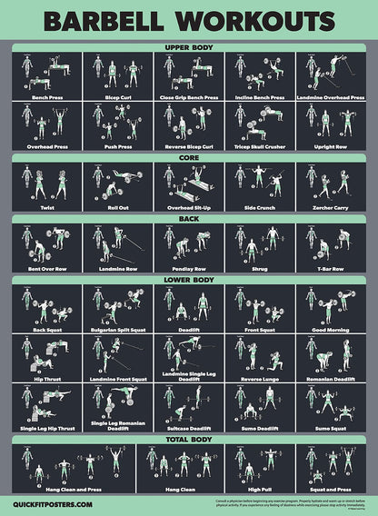 20 Pack - Exercise Poster Set: Dumbbell, Suspension, Battle Rope, Stretching, Bodyweight, Barbell, Yoga, Exercise Ball, Muscular, Kettlebell, Resistance Bands and More [Dark] (LAMINATED, 18” x 24”)
