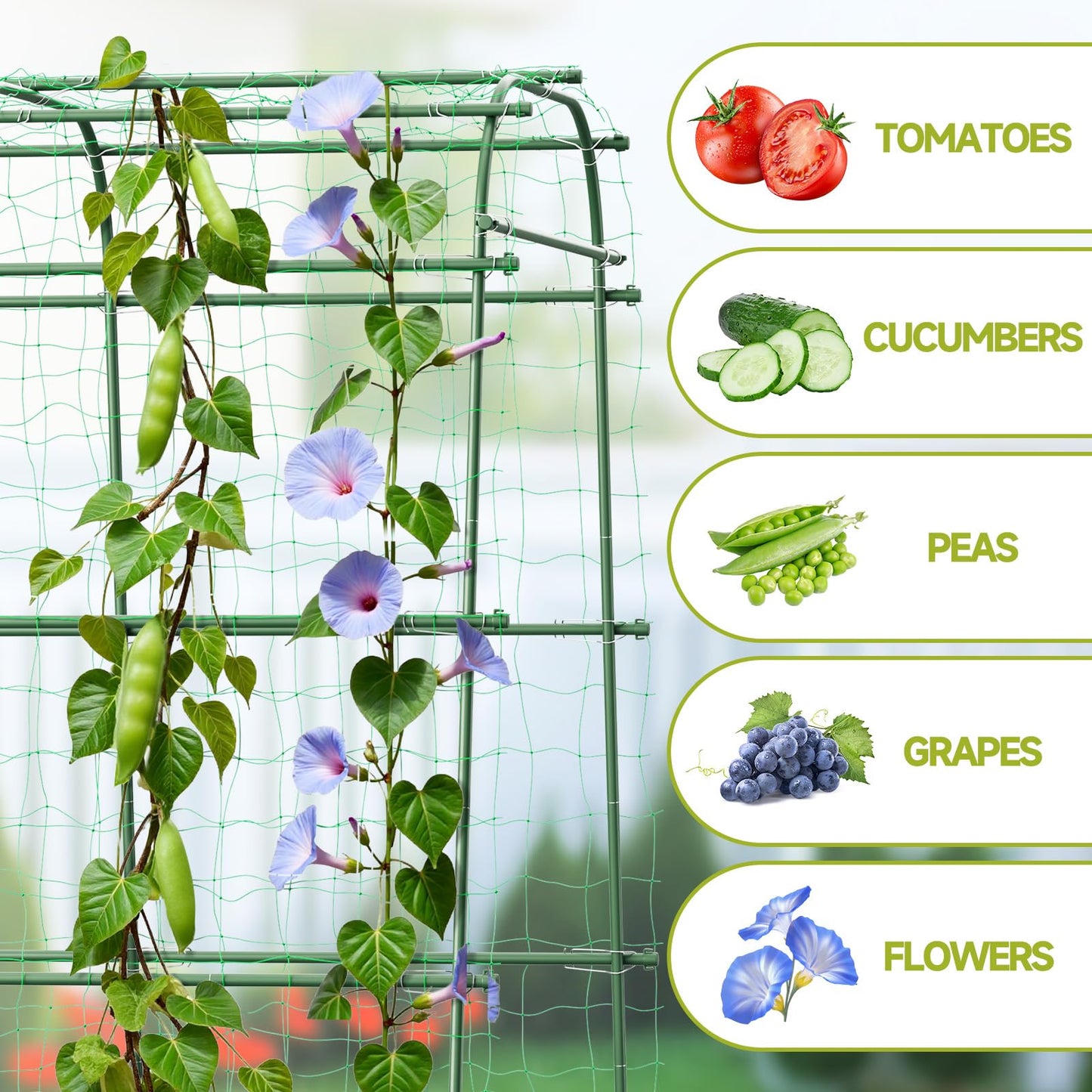 HIRALIY Garden Arch Trellis for Climbing Plants, 6.3ft Tall Heavy Duty Metal Cucumber Trellis, Rustproof Plant Support Tunnel for Tomato, Grape, Bean, Raised Bed and Vegetable Gardens, Green