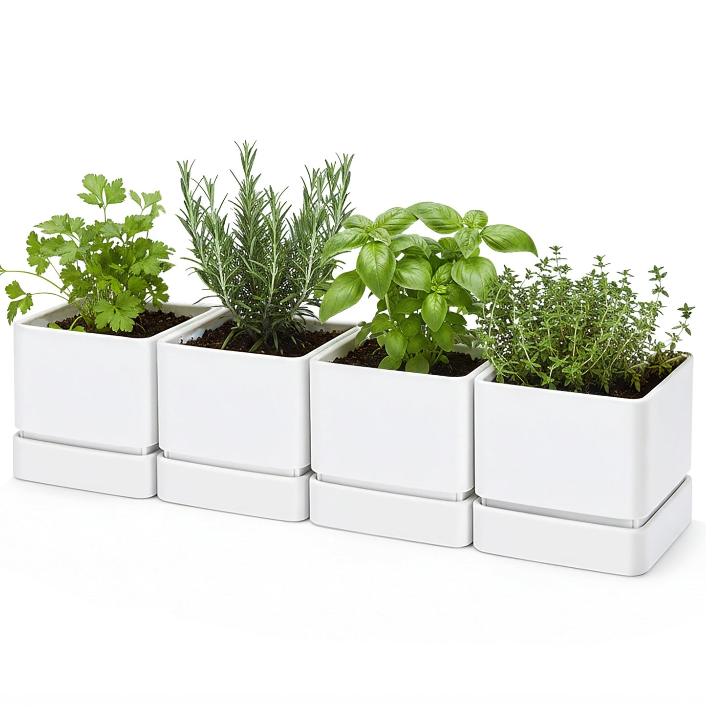 D'vine Dev 6 Inch Herb Planter Pot, Plastic Planter with Drainage Holes and Saucer, Modern Decorative Gardening Pot for Indoor Plants, Flowers, Herbs, Succulents, White, Set of 4, 76-Y-A4-2
