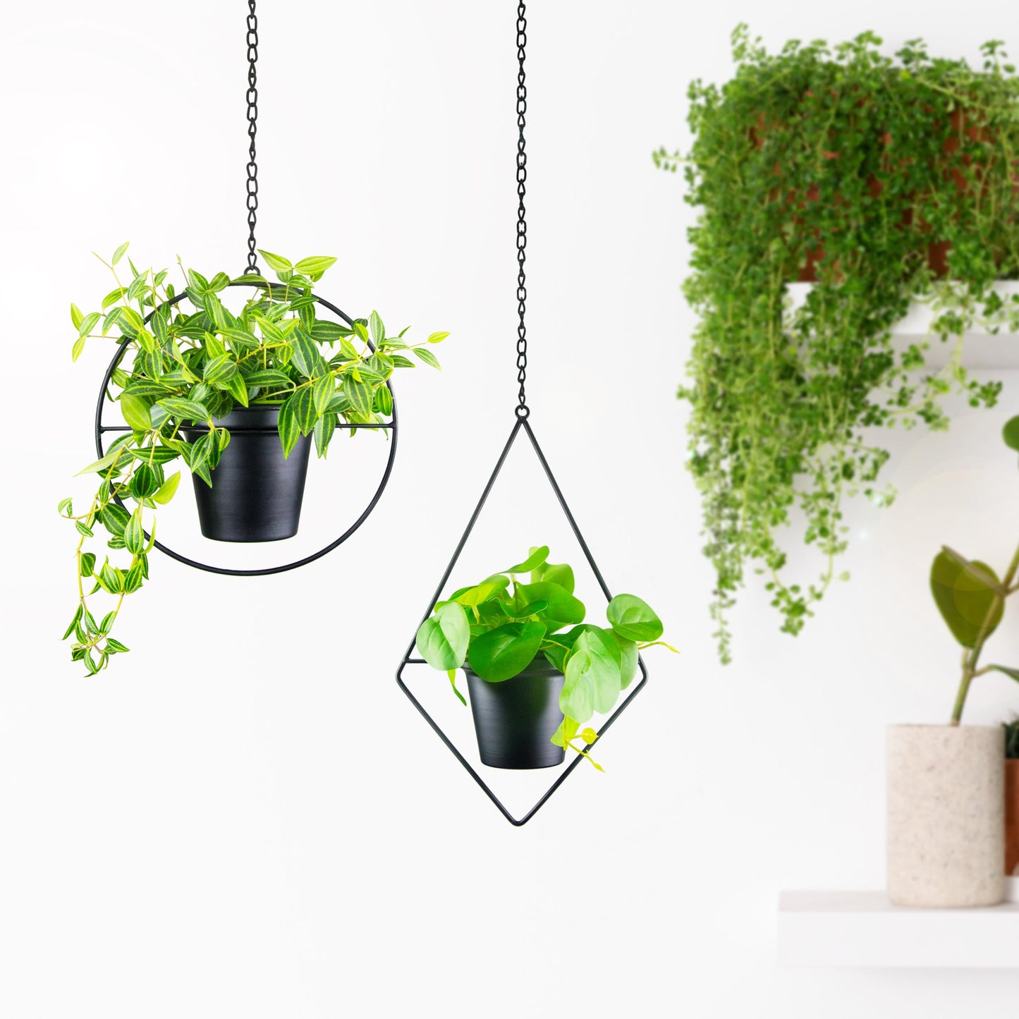 Modern Metal Hanging Planters Set of 2 - Round and Diamond Geometric Plant Hangers with 5 Inch Pots - Black Wall and Ceiling Mount Flower Holders for Indoor Houseplants, Boho Home Décor