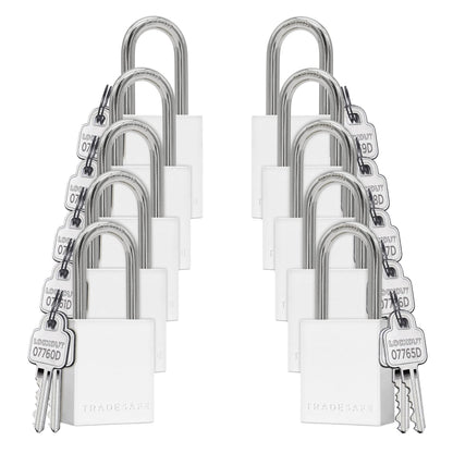 TRADESAFE Lockout Tagout Locks Set - 10 Silver Aluminum Loto Locks, Keyed Different Lock Out Tag Out Padlocks, 2 Keys Per Lockout Padlock, OSHA Compliant