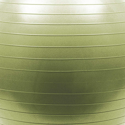 Natural Fitness Burst Resistant Exercise Ball