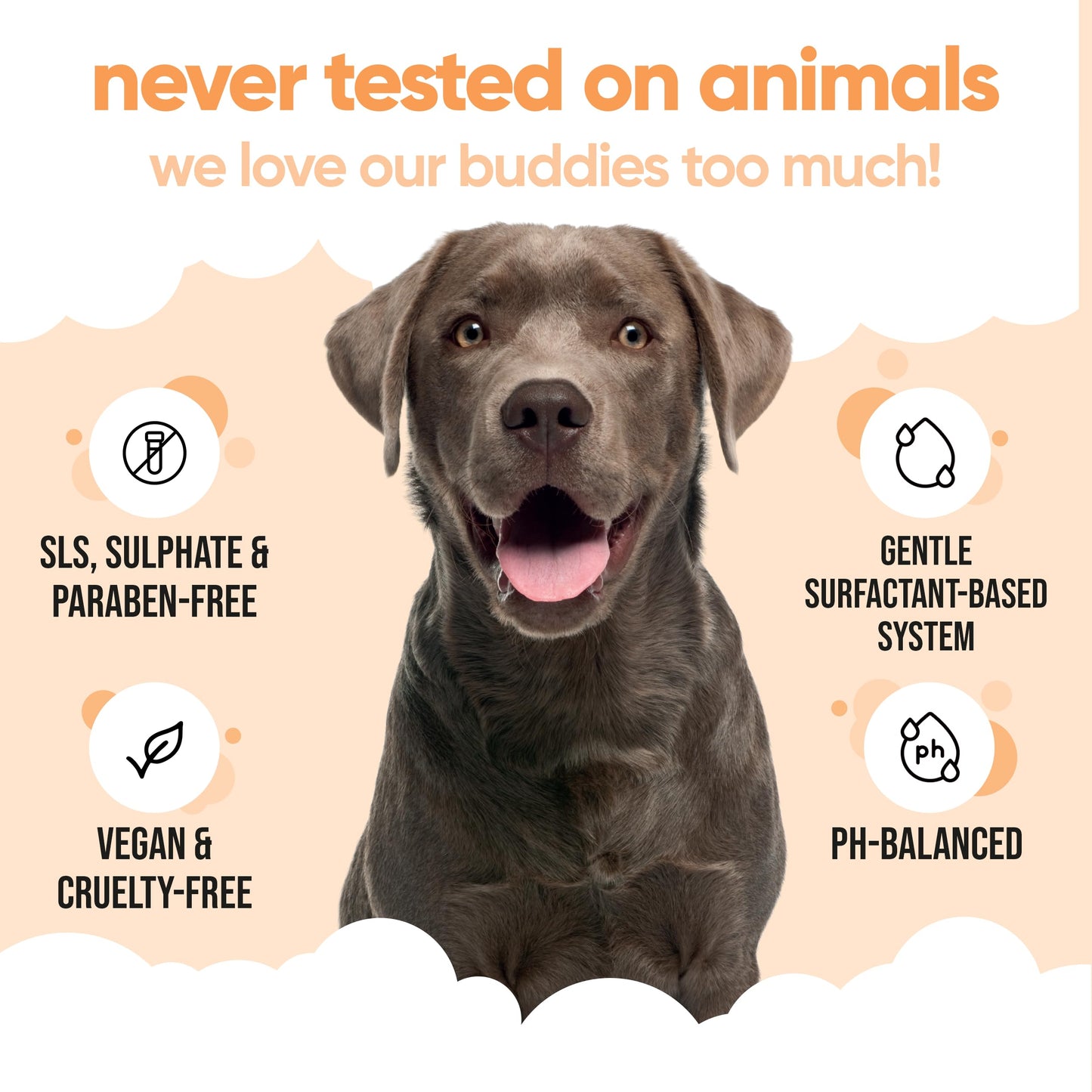 Flea & Tick Dog Shampoo by Buddycare (500ml) Effective Flea Shampoo for Dogs to Help Eliminate Fleas & Ticks Itchy & Sensitive Skin Relief Flea Treatment for Dogs Cleans & Soothes Skin
