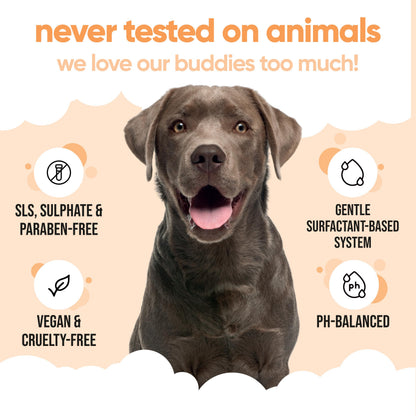 Flea & Tick Dog Shampoo by Buddycare (500ml) Effective Flea Shampoo for Dogs to Help Eliminate Fleas & Ticks Itchy & Sensitive Skin Relief Flea Treatment for Dogs Cleans & Soothes Skin