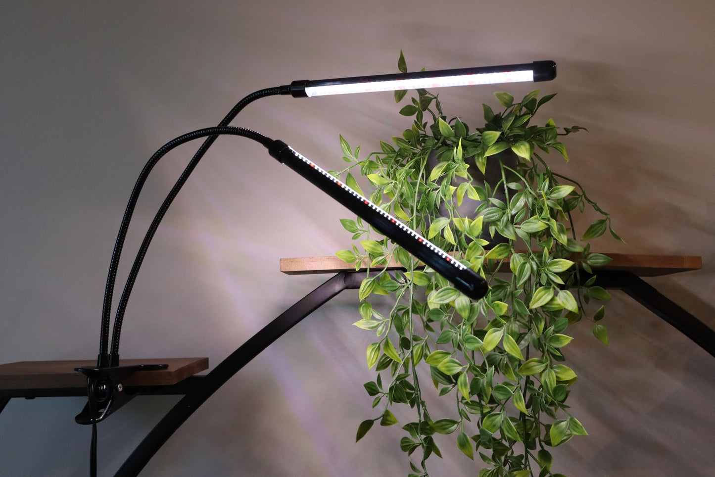 FloraBeam Plant Grow Light - 6000K Full Spectrum with Adjustable Red & White LEDs, 10-Level Dimming, USB Powered Clip-On Lamp for Indoor Plants, Timer Function (2 Head)