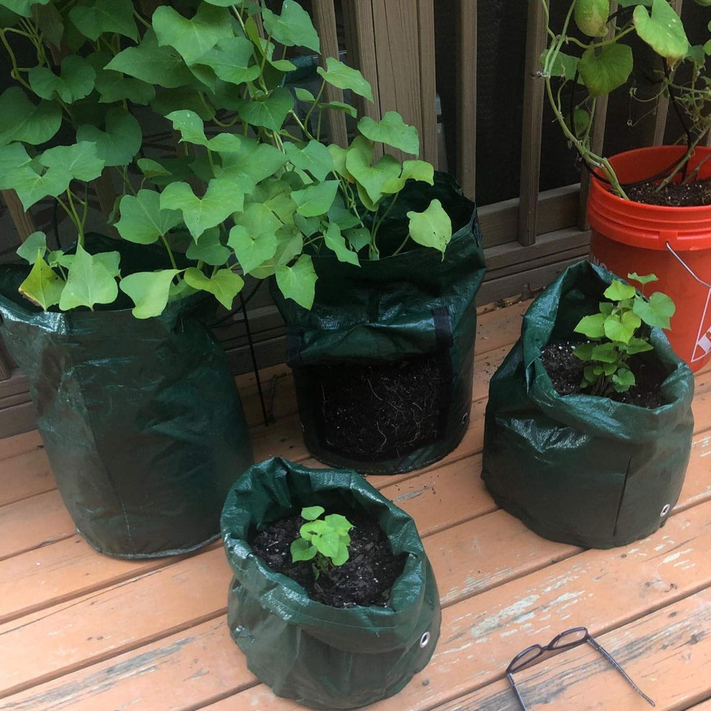 JJGoo 2 Pack 10 Gallon Garden Potato Grow Bags with Flap and Handles Aeration Fabric Planter Pots, Heavy Duty Potato Planters Garden Planting Bags for Onion, Fruits, Tomato, Carrot (Green)