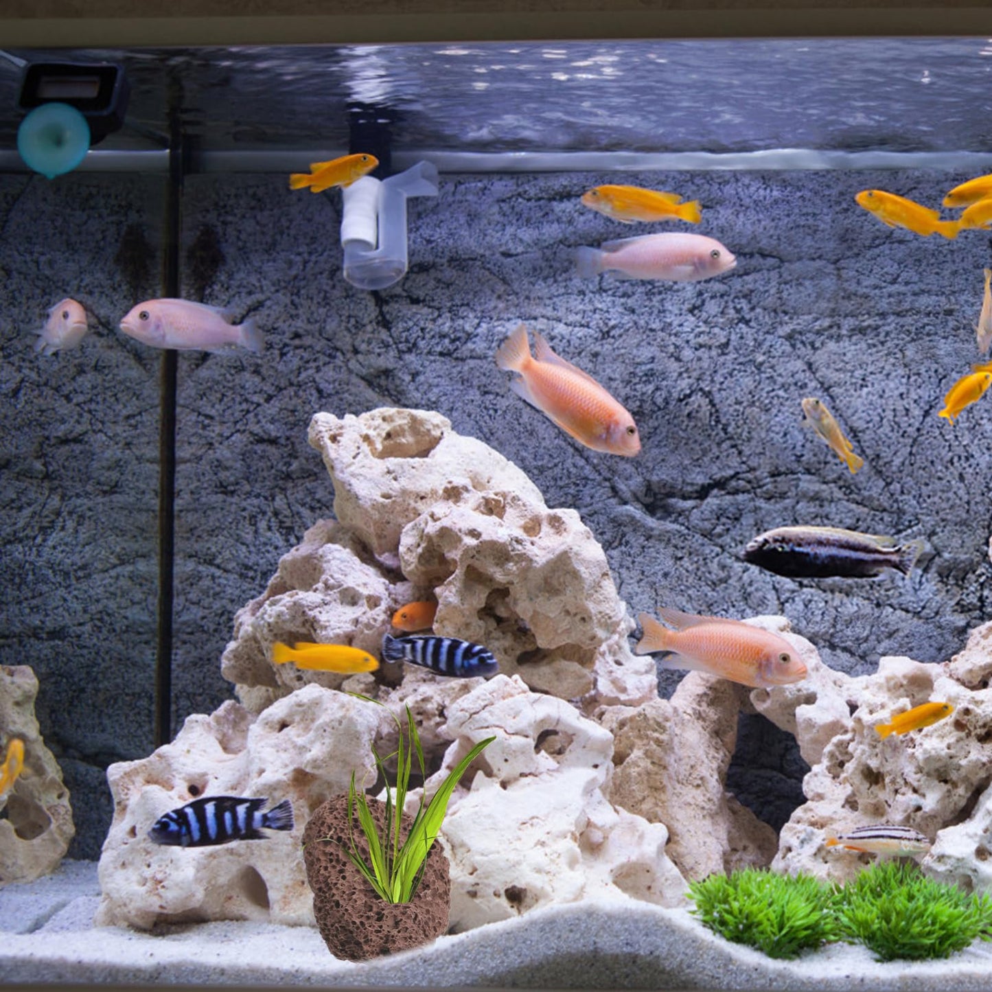 DOITOOL Lava Rock Aquarium 6pcs Volcanic Rocks Small Dark Brown Volcanic Pumice Stones, Aquarium Stones Aquascaping for Fish Tank Decoration, 3.93x2.75x1.57inch