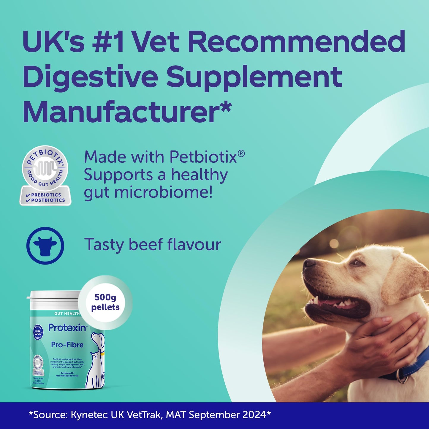 Protexin Veterinary Pro-Fibre for Dogs and Cats, 500g, Green brown, VE-017