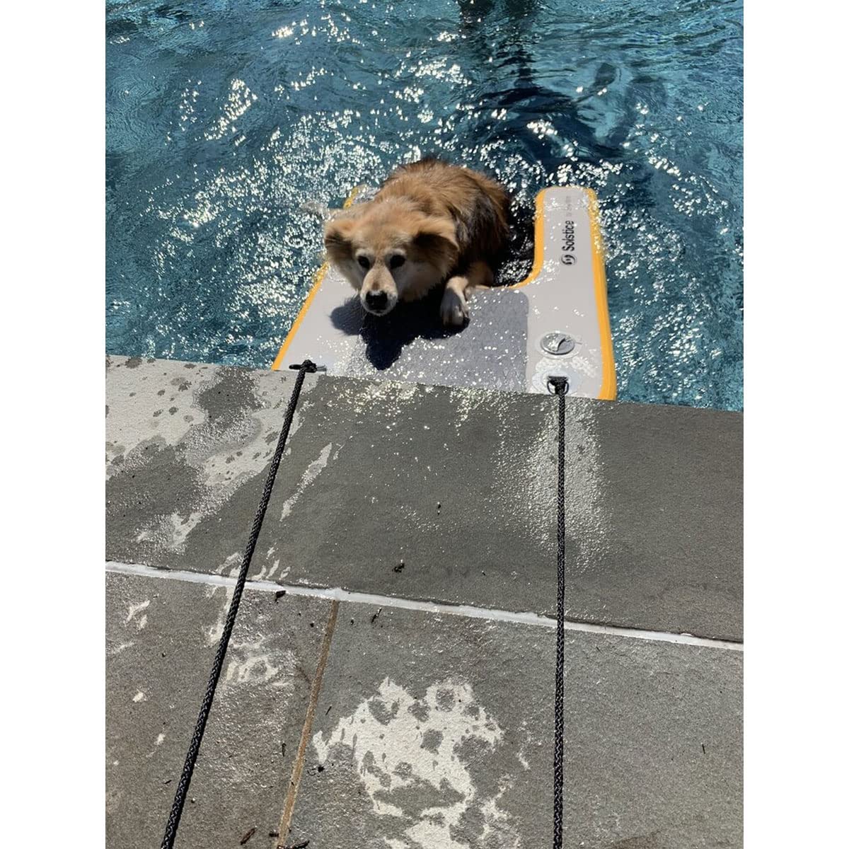 SOLSTICE Inflatable Pup Plank, Dog Water Ramp for Boats & Docks, Mini, 30 lb Capacity - Floating Platform for Pets for Lake, River, Beach & Swimming Pool, Includes Pump, Patent-Protected Design