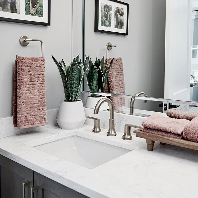 SKL Home CloudSoft Cotton Luxury 2-Piece Hand Towel Set