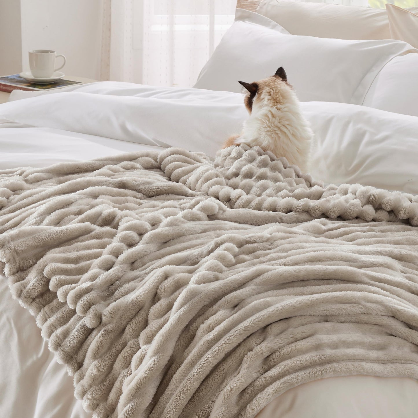 Bedsure Fleece Blanket Twin Size (Beige & Sage Green)