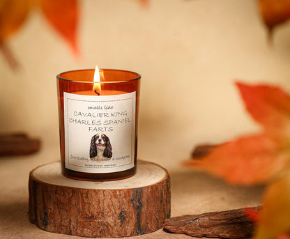 Cavalier King Charles Spaniel Gifts & Decor, King Charles Cavalier Gift, Dog Mom Gifts, Dog Farts Candle - Lavender & Eucalyptus, Crafted by Natural Soy Wax & Natural Essential Oils