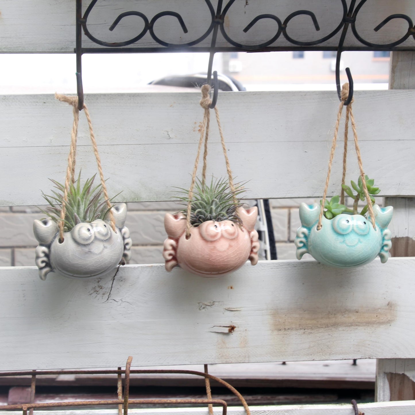 Gniliny Ceramic Crab Air Plant Holder - Cute Succulent Tillandsia Stand, Mini Desktop Airplant Display Decoration for Home Office Windowsill, Small Plant Pot for Indoor Plants