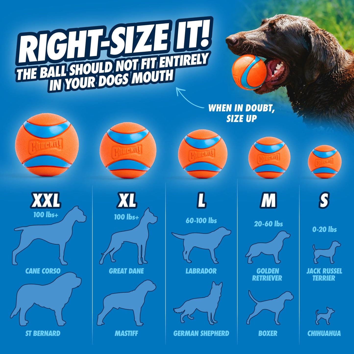 ChuckIt! Canine Hardware Medium Ultra Balls Classic 4-Pack,Orange