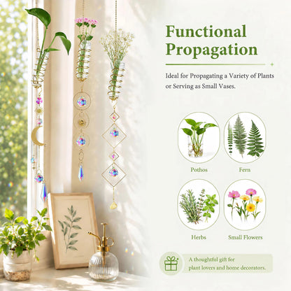HDCRYSTALGIFTS 6Pcs Crystal Suncatchers with Propagation Stations,Glass Wall Planters for Indoor Plants Hydroponics - Propagation Tubes Jars with Sun Catchers Metal Chain for Home Whimsical Decor