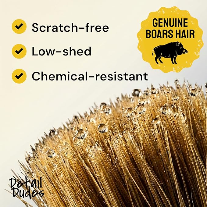 Boar Hair Detailing Brush Set
