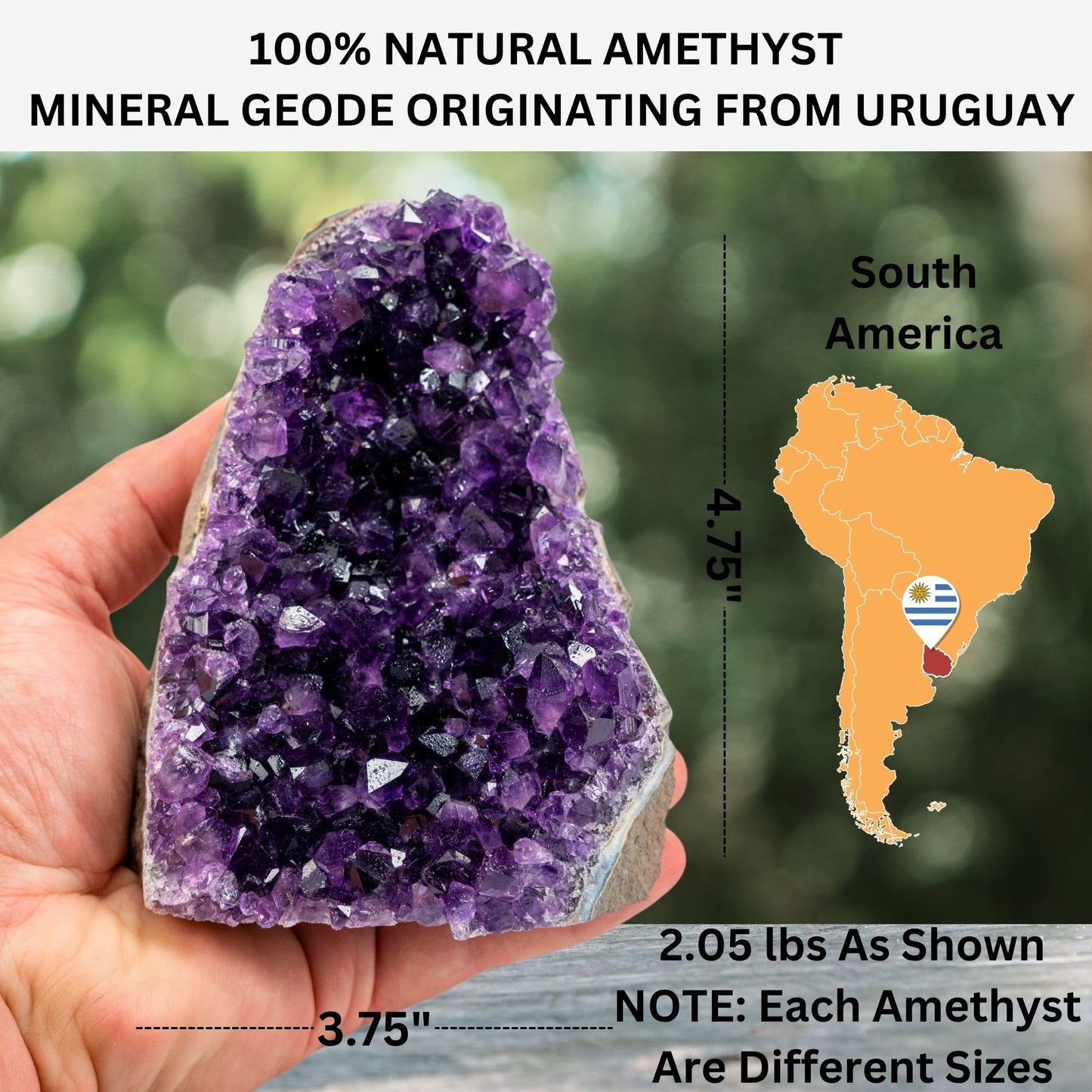 TRUENERGY Natural Amethyst Cluster Quartz Crystal – 2.0 To 2.5 lbs Grade A+ Raw Dark Purple Geode Stone from Uruguay – Home Decoration, Meditation Healing, and Positive Energy (2-2.5 lbs)
