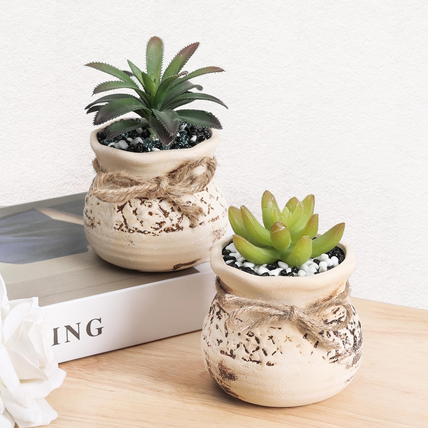 T4U Succulent Pots Set of 4, 3.5 Inch Small Plants Pots, Small Ceramic Pots with Drainage Holes, Succulent Planters for Indoor Plants, Succulent Gift for Women, Mom, Plant Lover, Bookshelf Decor