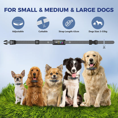 Anti Bark Collar for Dogs, No Shock Bark Collar, Beep & Vibration, 5 Adjustable Sensitivity, Rechargeable Dog Barking Collar, IP67 Waterproof - Bark Collars for Large Medium Small Dogs, Black