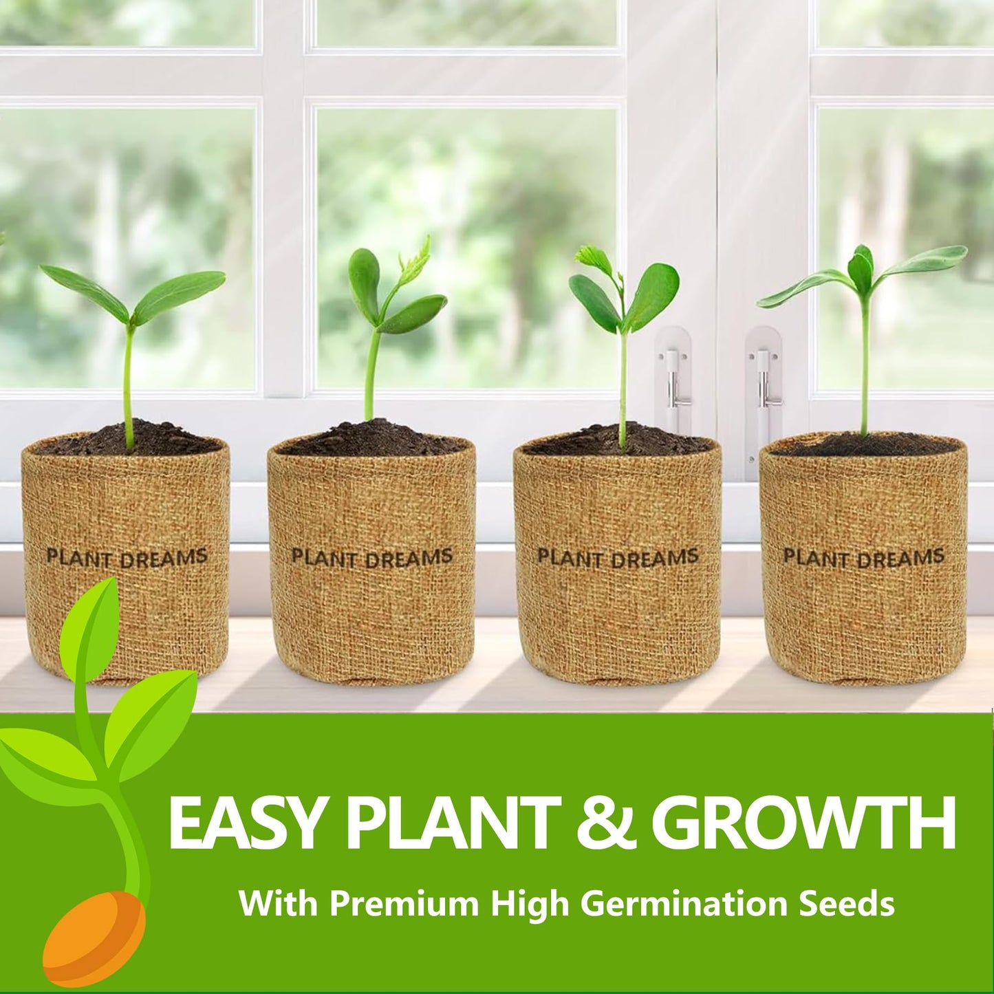 Bonsai Tree Kit, Bonsai Starter Kit with 4 Types of Seeds, Tools & Planters, Bonsai Tree Live Plants Indoor, Gardening Gifts for Women Men Mom Father Plant Lover, Unique