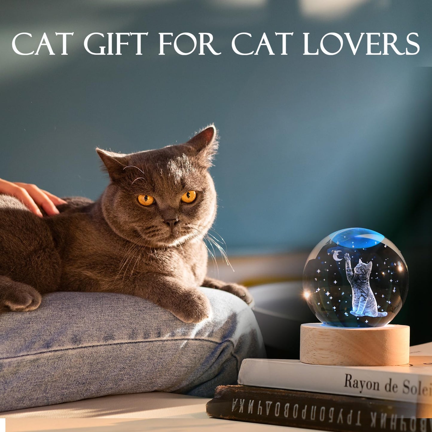 IFOLAINA 3D Cat Themed Gifts for Women Friends Cat Lovers Presents 2.36" Engraved Crystal Ball with Wooden Light Base Crystal Pet Sphere Decor