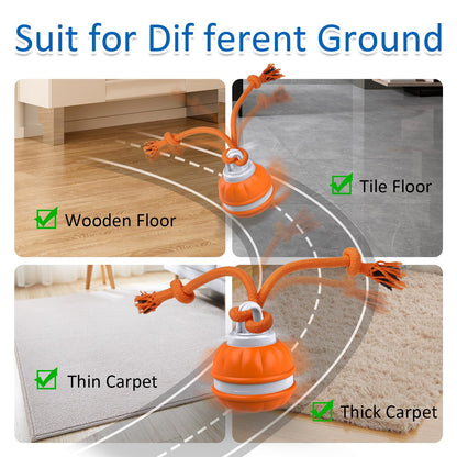 Sofolor Interactive Dog Toys, Motion Activated Dog Ball, Automatic Rolling Ball Toys for Puppy/Small Dogs