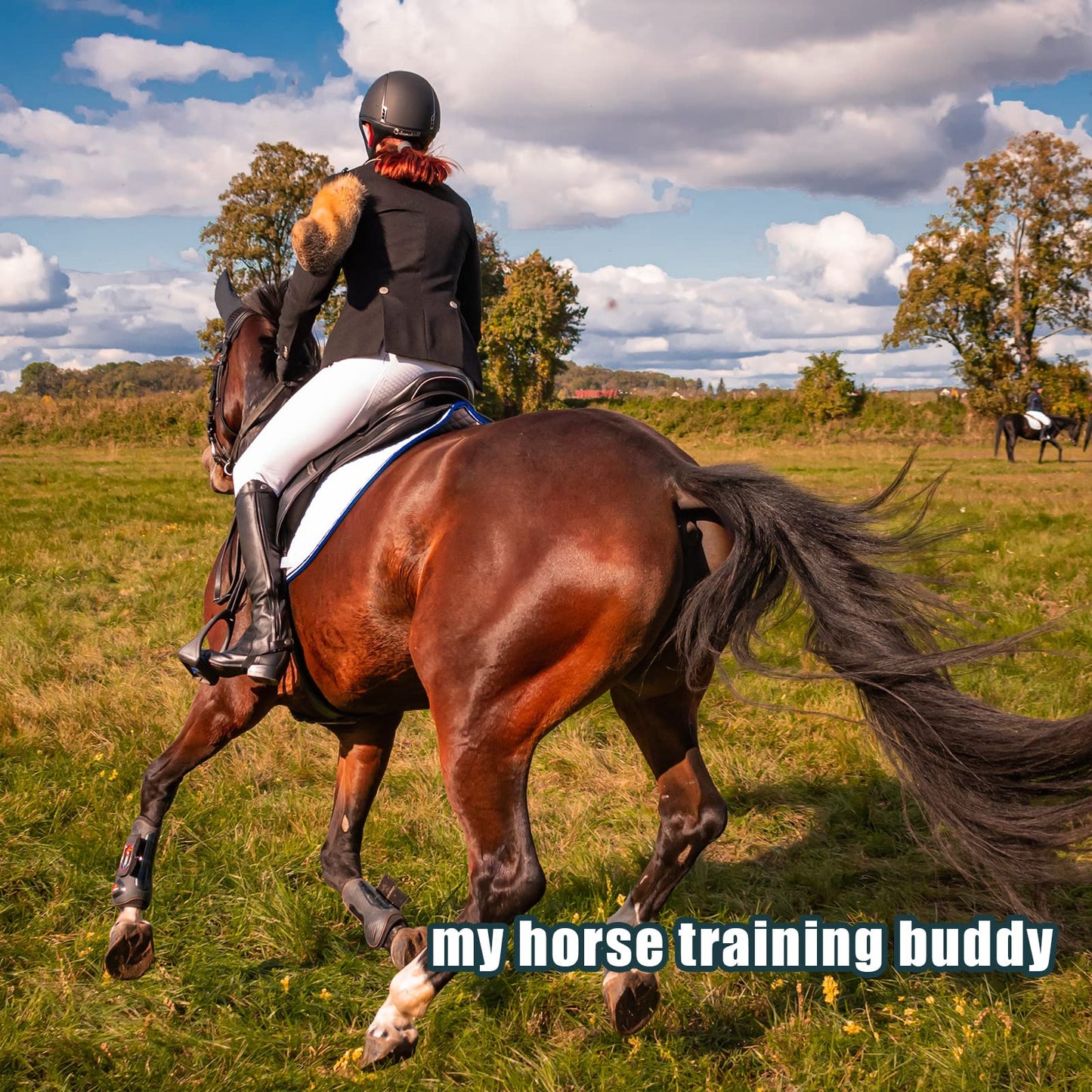 4pcs Horse Training Flag, 5.25 Feet Red Telescopic Flag Poles with 17.1x17.1inch Retractable Horse Training Equipment Horse Flag (Four Colors)