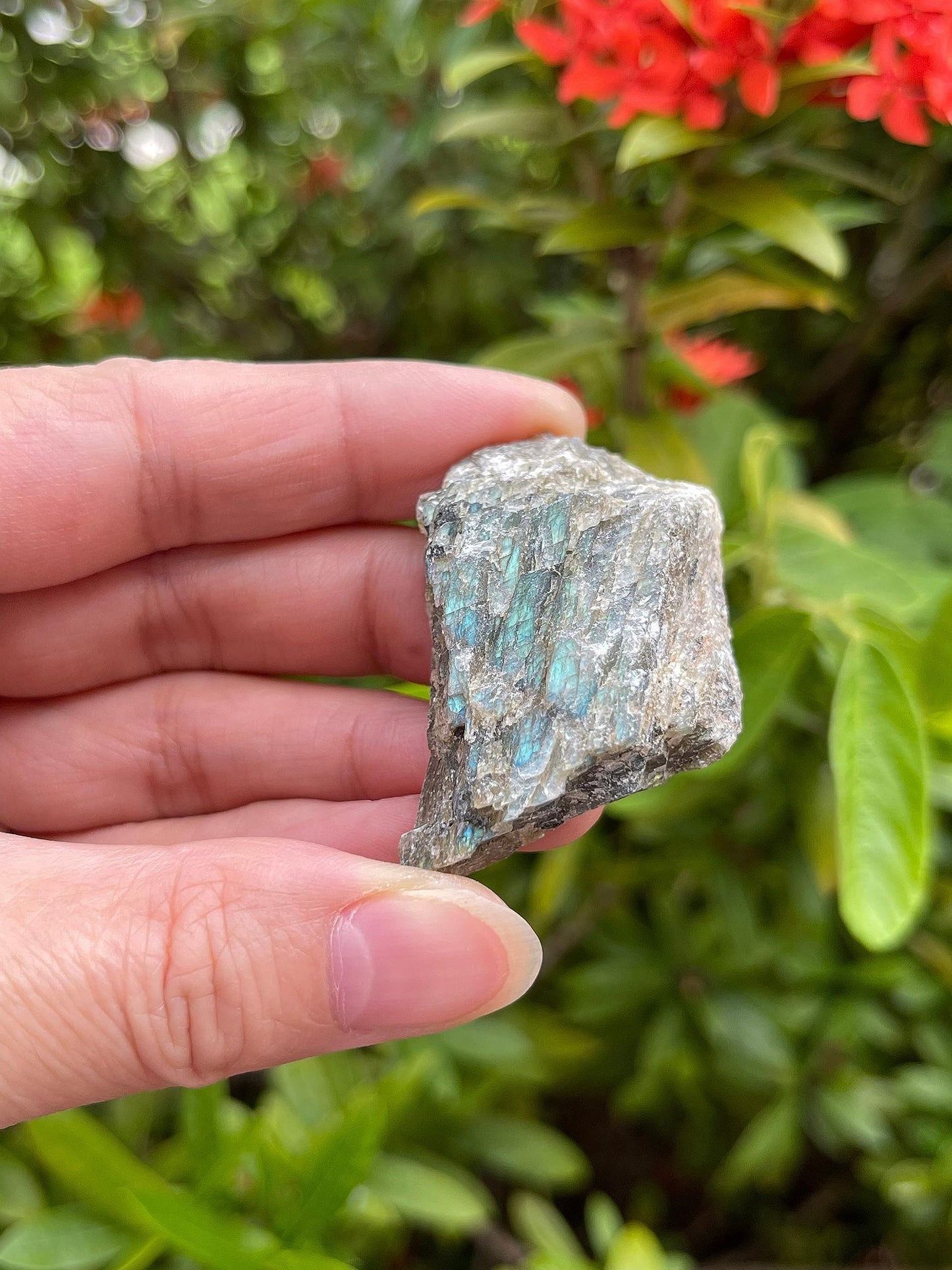 GAF TREASURES 1 Pound Raw Labradorite - Natural Labradorite Stone, Natural Rough Labradorite, Labradorite Rough, Labradorite Rocks (Labradorite)