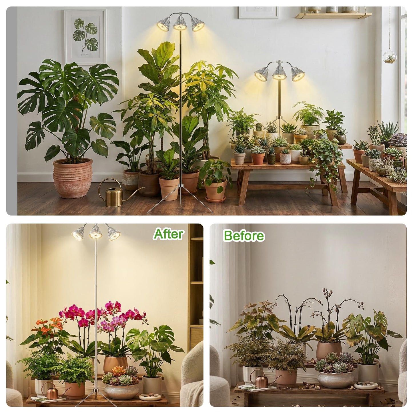 Full Spectrum Grow Light for Indoor Plants with Adjustable Tripod Stand, 11''- 60'' Height Plant Grow Lamp with Auto Timer 3/9/12H, LED Plant Light for Houseplants, Seedlings, Flowers & Indoor Garden