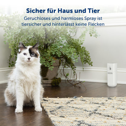 PetSafe Drinkwell Charcoal Replacement Filter for 360 Pet Fountains, Active Carbon Filter for Cats and Dogs