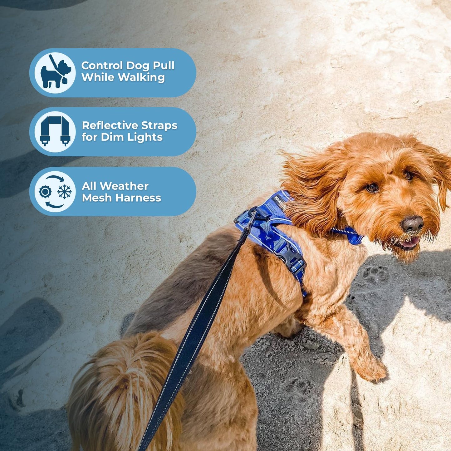 Voyager No Pull Dog Harness for Small Dogs, Dual Leash Attachments, Adjustable Soft but Strong Pet Harness with 3M Reflective Technology, Royal Blue Lattice Nylon, S (Chest: 16-20")