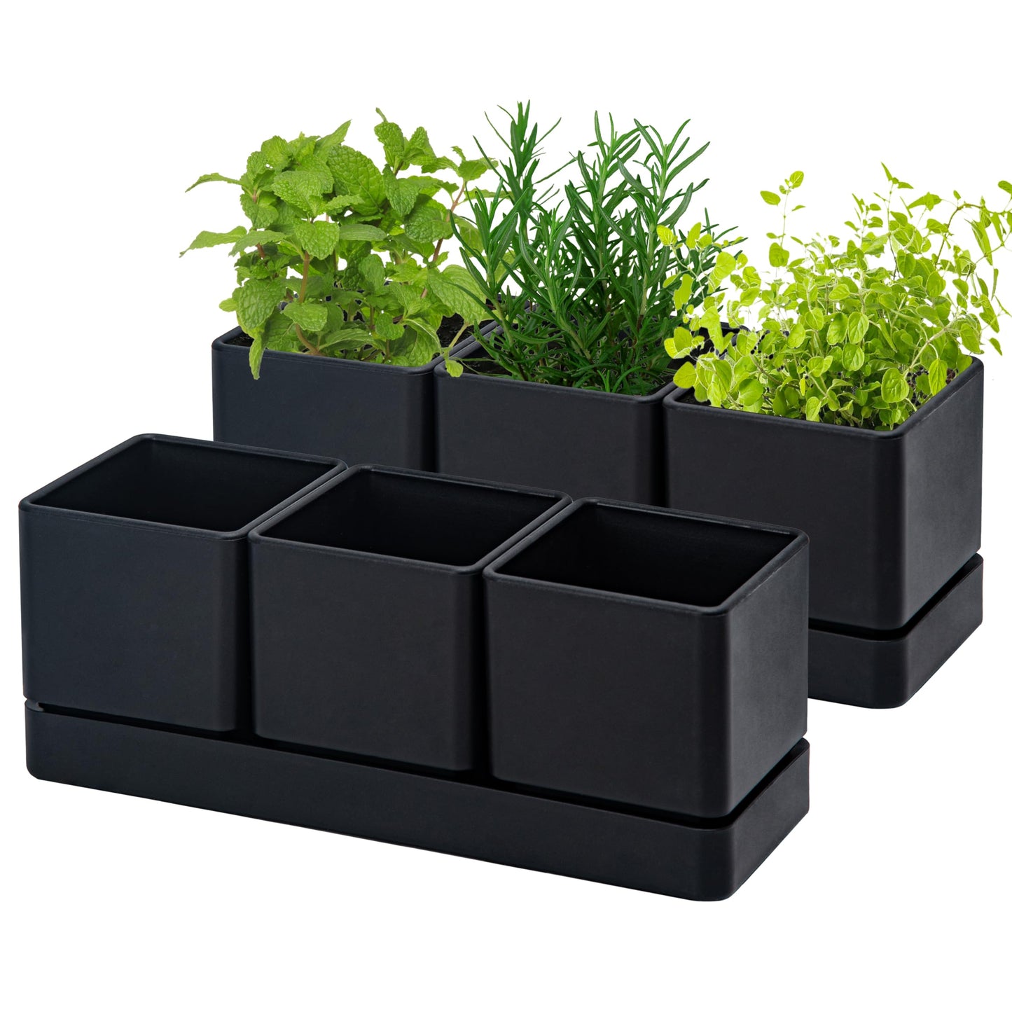 D'vine Dev Herb Garden Planter Set, Plastic Plant Pots with Drainage and Saucer, Indoor Succulent Cactus Vegetable Pot for Windowsill, Garden Balcony, Black, Set of 2, 76-V-B-2