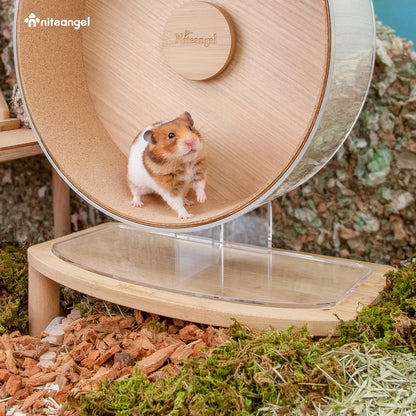 Niteangel Anti-Slide Hamster Wheel Platform - Fits for Niteangel Super-Silent Wheel | Acrylic Wheel | Wooden Wheel | Cloud Series Wheel