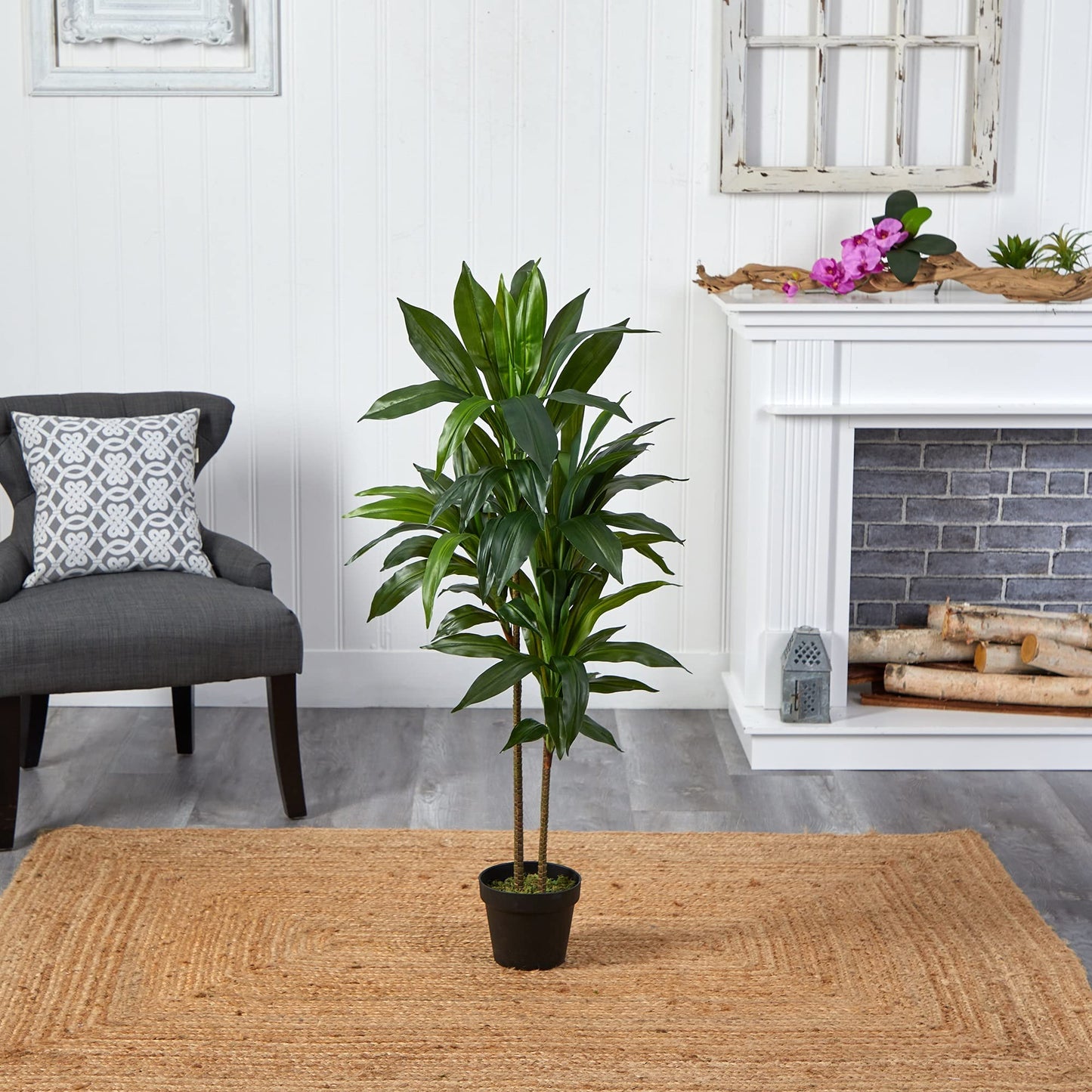 Nearly Natural 48in Artificial Dracaena with Real Touch Leaves and Multi Tonal Trunks, Large Indoor Silk Plant with Pot, Maintenance Free For Living Room And Home Office Decor