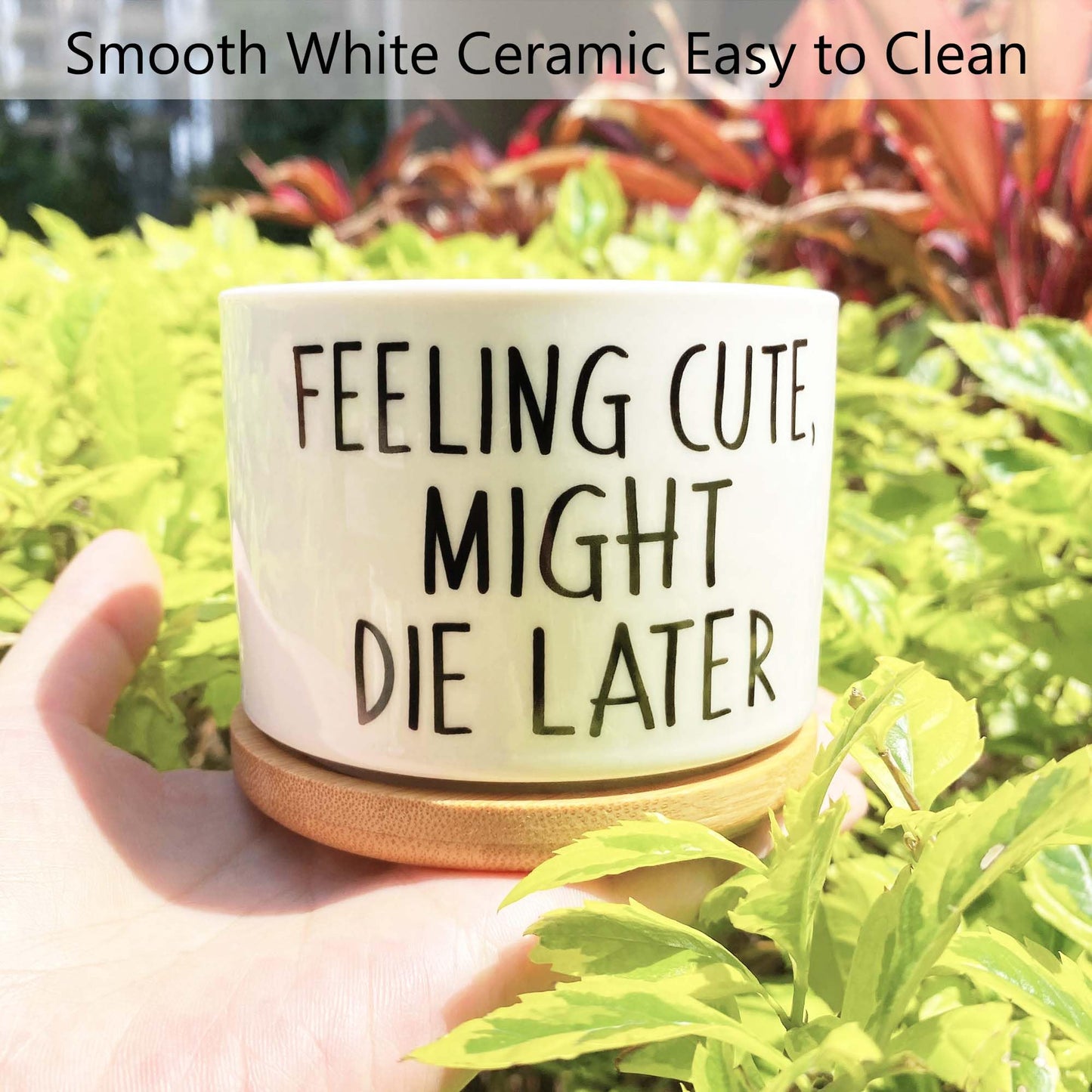 Bttwkco Funny Succulent Pots, Mini Succulent Planter Pots, Cute Planters for Succulents, Small Ceramic Cactus Pot with Drainage Hole, Plant Lover Gifts - Feeling Cute Might Die Later