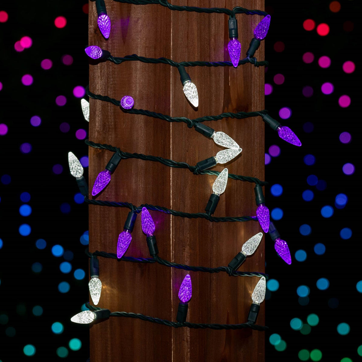 Novelty Lights 24FT 70 LED C6 Commercial Grade LED String Lights, Tree Decorations. Outdoor & Indoor usage, Permanent Christmas Lights. Pure White & Purple