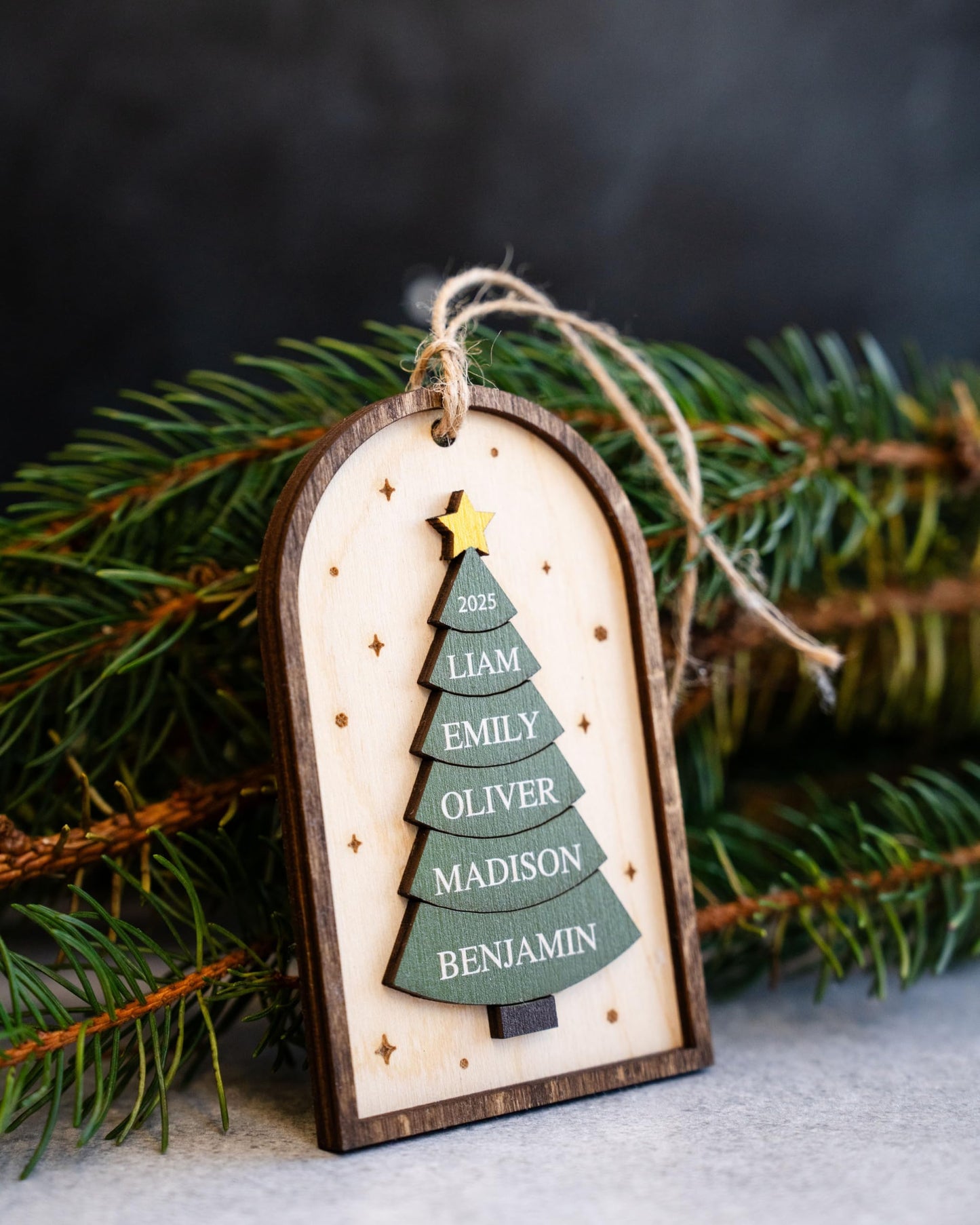 Family Christmas Ornament - 2025 Personalized 3D Ornament with Names