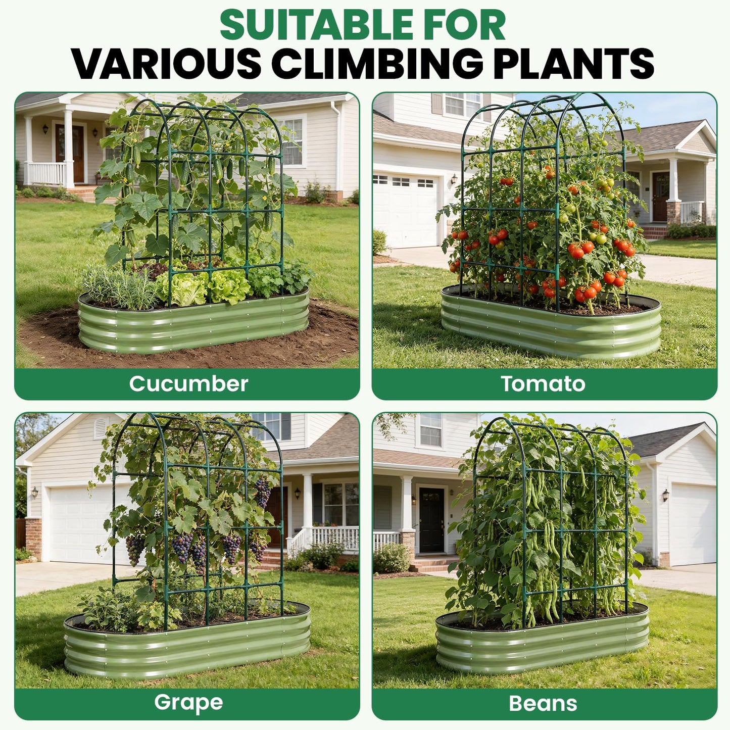 VIREO GARDEN Galvanized Raised Garden Bed with Arched Trellis | 6x3x1FT Metal Raised Garden Beds Outdoor for Gardening Climbing Plant | Planter Box Outdoor with Gloves for Vegetable Flower, OliveGreen