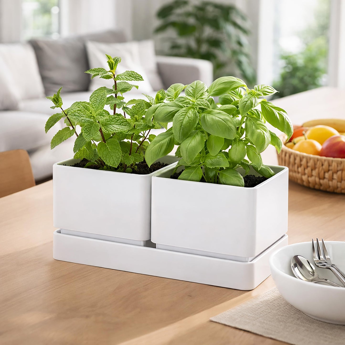 D'vine Dev Indoor Herb Garden Planter Set, Plastic Windowsill Plant Pots with Drainage and Saucer, Indoor Succulent Cactus Vegetable Pot for Balcony, Office, Garden, White, Set of 2, 76-Q-A-2