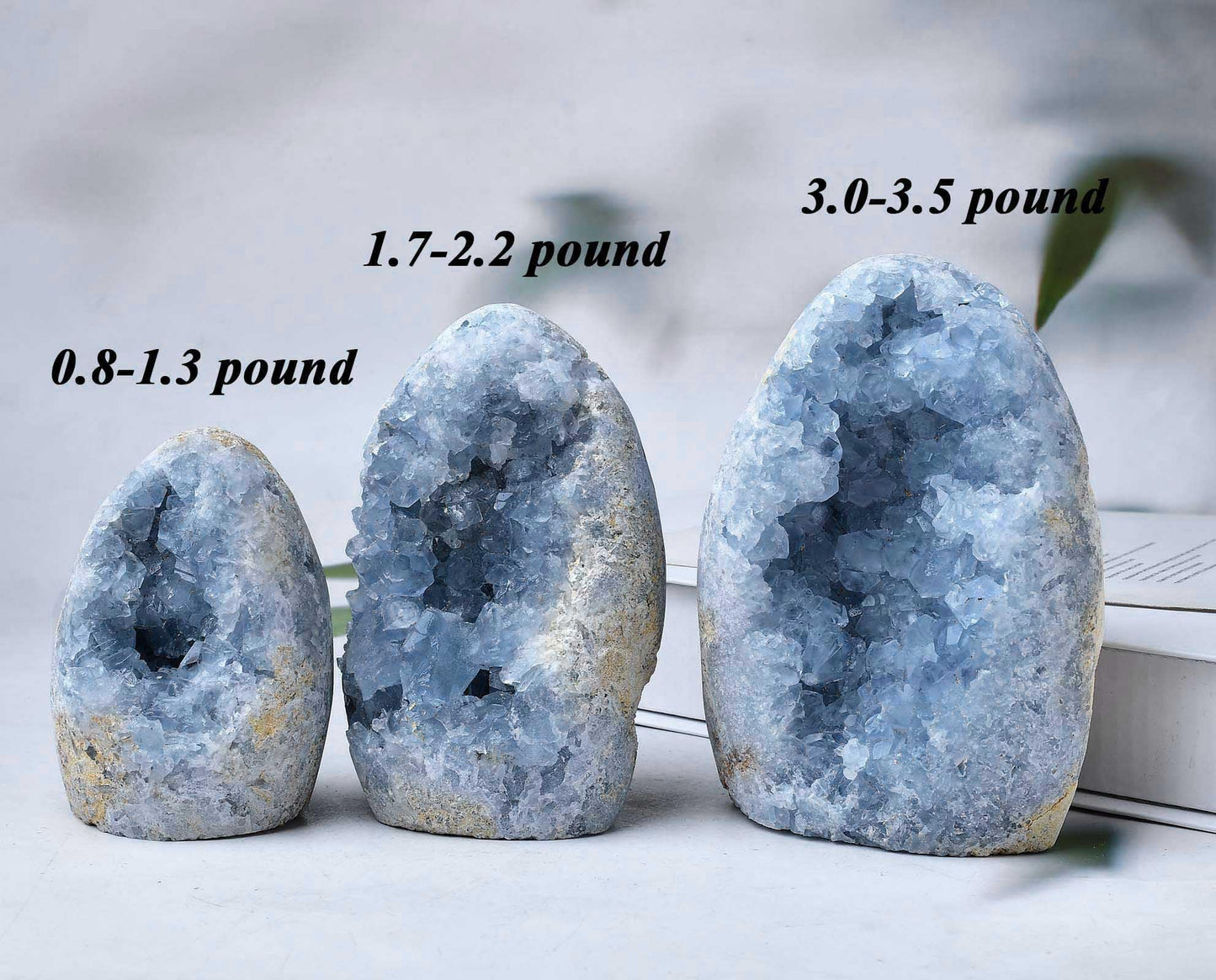 FZBHRO Natural Blue Celestite Cluster Geode Healing Crystal Stone Collection Mineral Specimen Home Office Decor Meditation Gifts 0.6-0.8 Pound