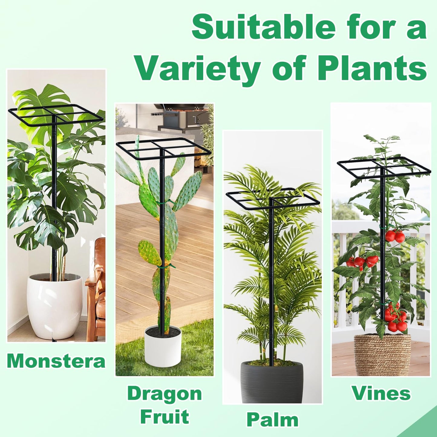 iCHKED 63'' Metal Dragon Fruit Trellis, Adjust Durable Dragon Fruit Plant Trellis Support Garden Fruit Stand for Vertical Climbing Plants Trees Cactus Roses Vines Outdoor Indoor,1 Pcs