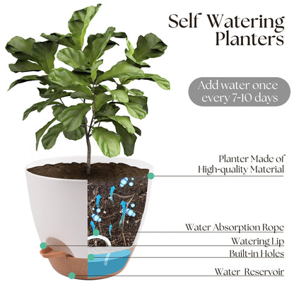 Giraffe Creation Plant Pots Set of 5 (10/9/8/7.5/7 inch), Self-Watering Indoor & Outdoor Flower Planters with Drainage Hole and Reservoir, White