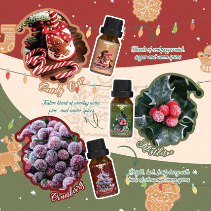 ARVIDSSON Christmas Fragrance Oil Set, Winter Essential Oils for Diffuser, Candle Making - Christmas Spirit, Gingerbread, Apple Cinnamon, Candy Cane, Mistletoe, Holiday Diffuser Oils Gift Set