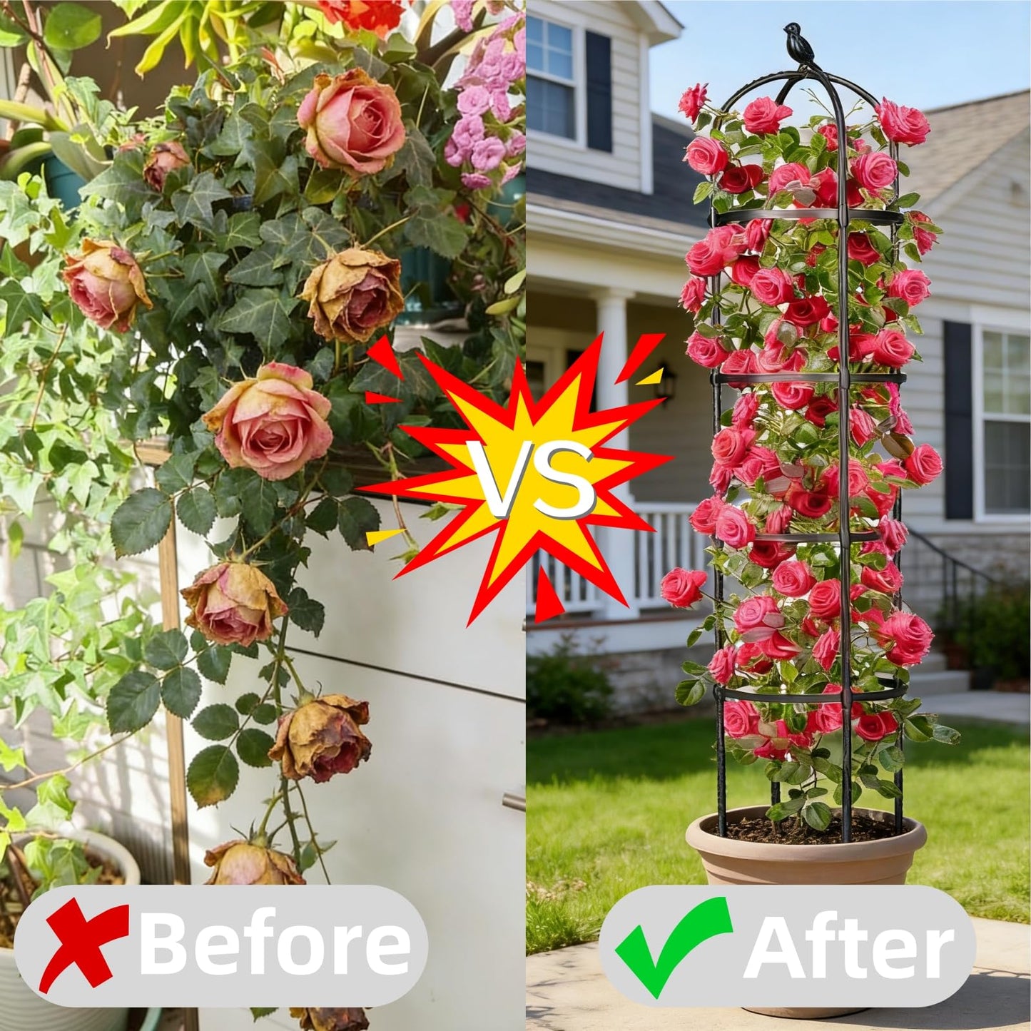 2 Pack Garden Obelisk Trellis for Climbing Plants Outdoor Indoor, 6 Ft Round Rustproof Metal Pot Plant Support Trellis for Rose Bush Clematis Vine Jasmine Flower Morning Glory Potted Plants Black