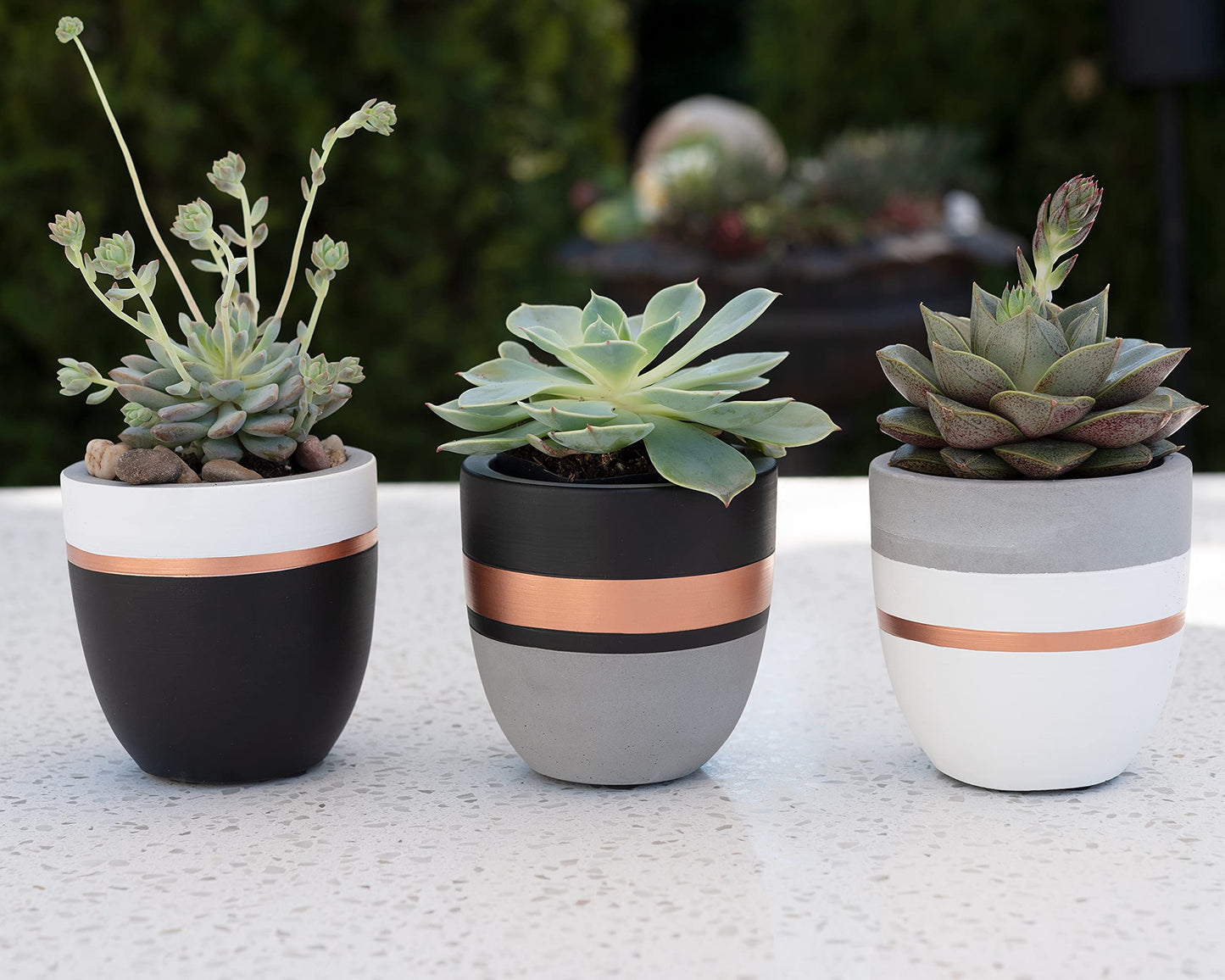 PASENITY Hand Painted Indoor Plant Pots, Set of 3 Modern Cement Succulent Pots with Drainage, Best Planters for Cactus, Herbs, Great Office & Home Gift Idea (Plants NOT Included), 3.5 Inch
