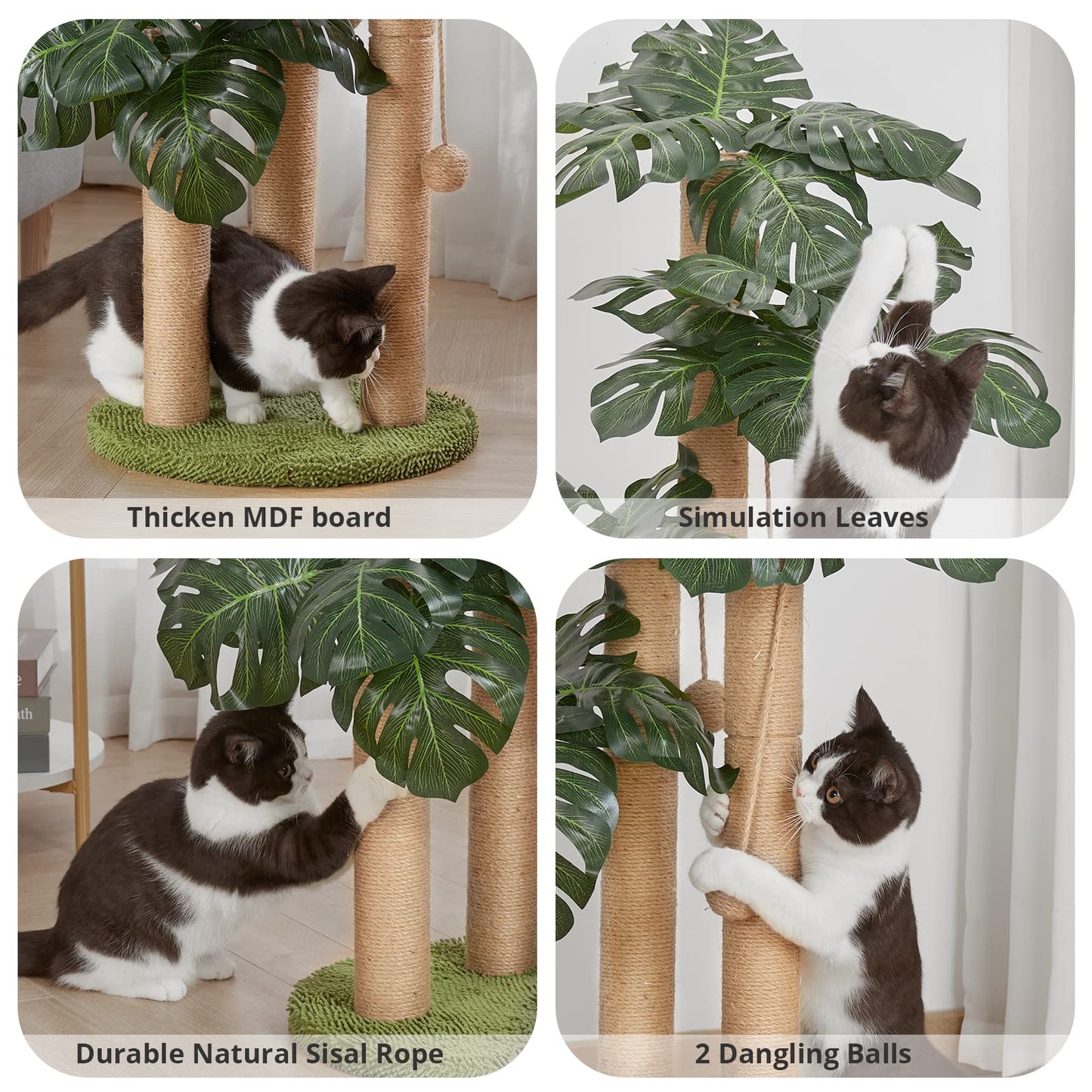31.5Inch Cat Scratching Post,Cat Scratcher Tree with 3 Scratching Poles & 2 Interactive Dangling Balls,Cats Scratching Posts for Indoor Kitten & Adult Cats (Monstera tree)